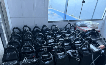 Polícias do Paraná apreendem a segunda maior carga de cocaína do ano: droga seria enviada à Europa