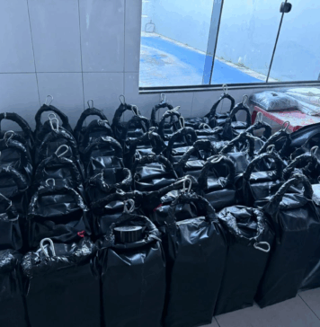 Polícias do Paraná apreendem a segunda maior carga de cocaína do ano: droga seria enviada à Europa