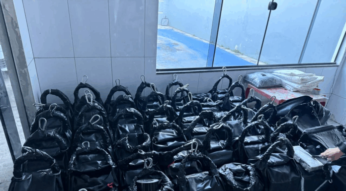 Polícias do Paraná apreendem a segunda maior carga de cocaína do ano: droga seria enviada à Europa