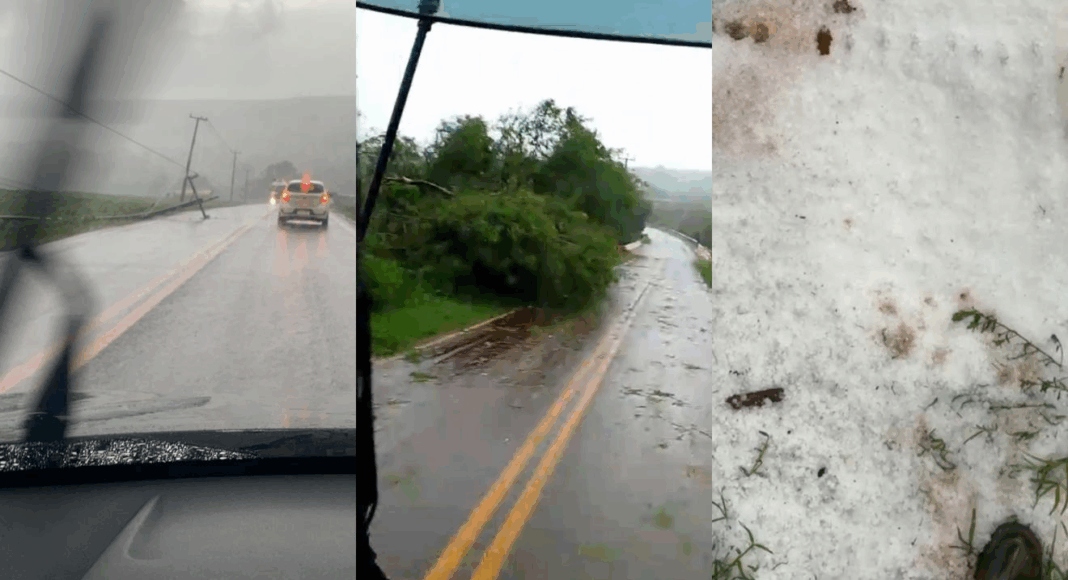 Temporais com ventos fortes e granizos causam estragos no Paraná
