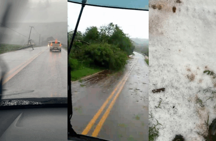 Temporais com ventos fortes e granizos causam estragos no Paraná