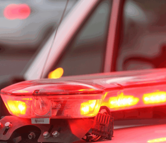 Deputado Renato Freitas (PT) troca socos com homem em Curitiba