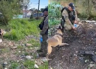 Polícia encontra “cemitério clandestino” próximo à linha férrea em Curitiba