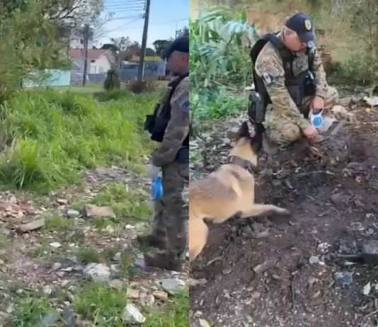 Polícia encontra “cemitério clandestino” próximo à linha férrea em Curitiba