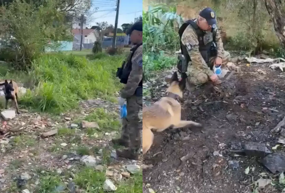 Polícia encontra “cemitério clandestino” próximo à linha férrea em Curitiba