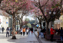 Instalação de tapumes na Rua XV de Novembro desperta curiosidade de moradores